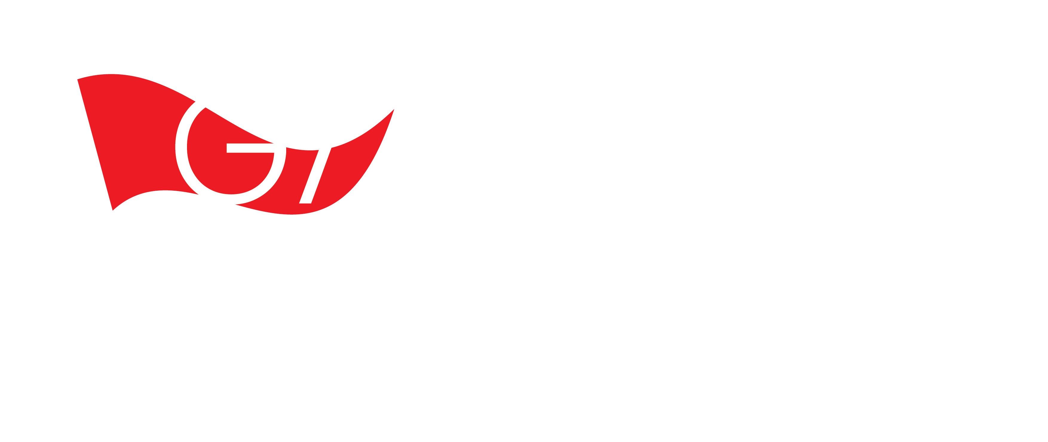 Gaziantep Bayrak
